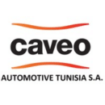 caveo-automotive